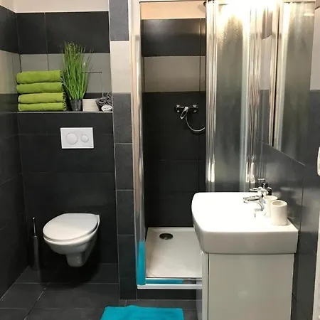 Apartmans In The Center With Privat Parking 아파트 브르노