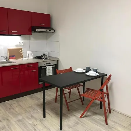 Apartmans In The Center With Privat Parking *