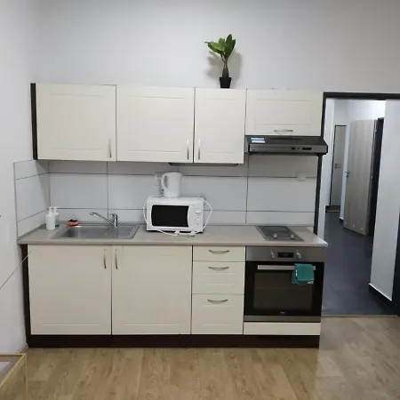 Apartmans In The Center With Privat Parking 아파트 브르노