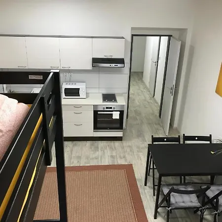 Apartmans In The Center With Privat Parking 아파트 *