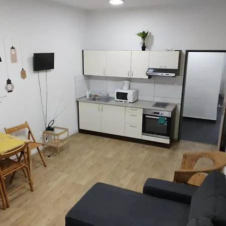 아파트 Apartmans In The Center With Privat Parking 브르노