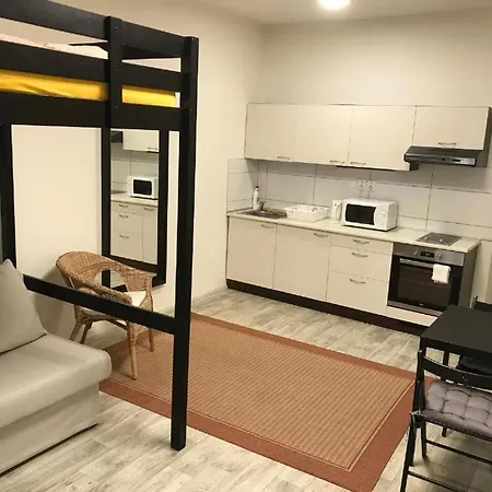 아파트 Apartmans In The Center With Privat Parking 브르노